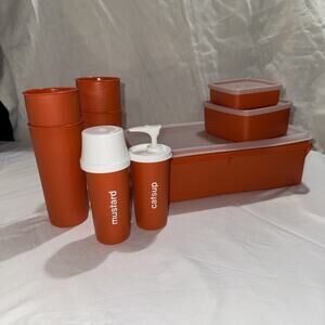 Vintage 1970s Tupperware Orange Picnic Set w/glasses, Condiments, Etc
